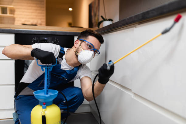 Best Residential Pest Control  in Brewster Heights, NY