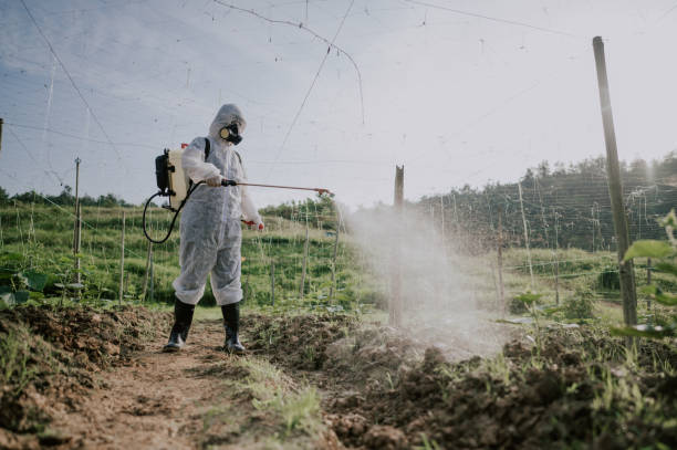 Best Local Pest Control Services  in Brewster Heights, NY