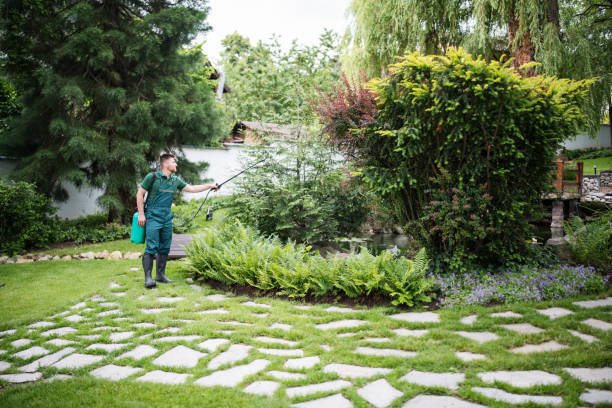 Best Cockroach Control Services  in Brewster Heights, NY