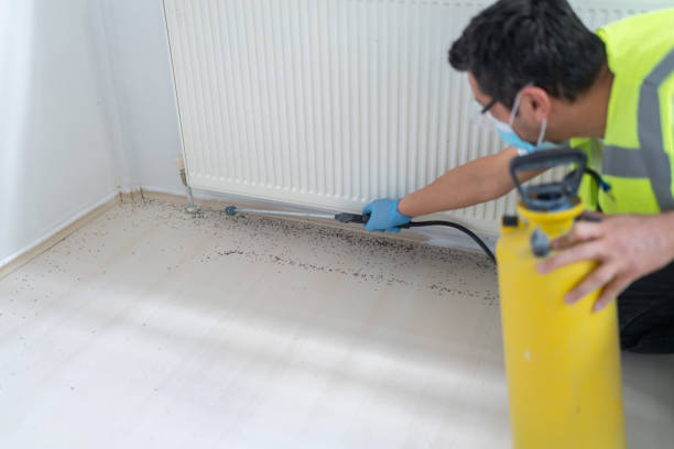 Best Wasp Removal Services  in Brewster Heights, NY